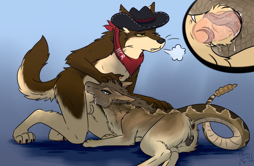 Animal Genitalia Rule 34 Image