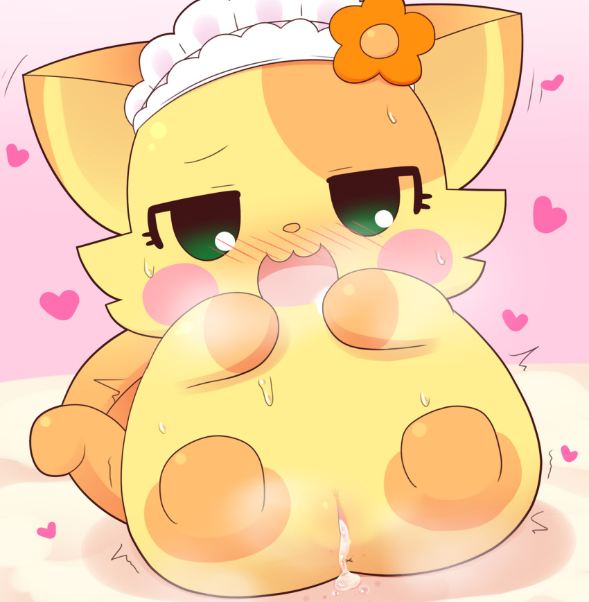 anthro anus ass blush bodily_fluids chaco_(cocotama) clitoris clothing cocotama cup drooling felid female flower fur genital_fluids green_eyes hat_only headgear headwear heart hirake!_cocotama looking_at_viewer lying mammal mostly_nude multicolored_body multicolored_fur onebchan open_mouth orange_body orange_fur plant pussy pussy_juice saliva semi-anthro solo spread_legs spreading sweat tea_cup two_tone_body two_tone_fur yellow_body yellow_fur