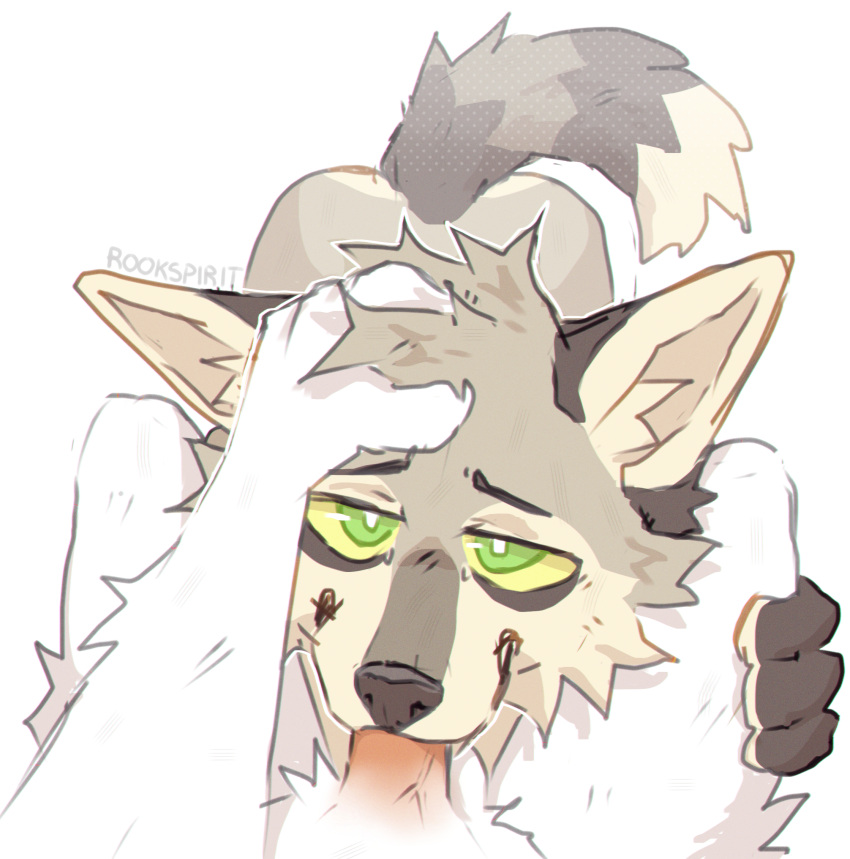 Max (Rookspirit) Rule 34 Image
