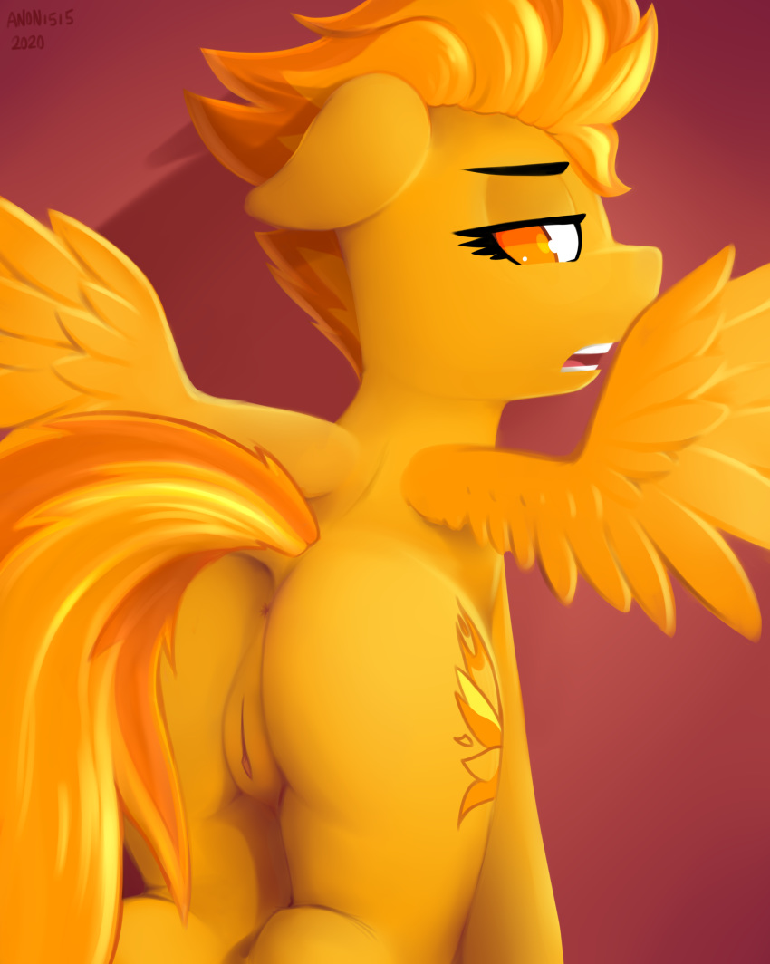 anon_1515 anus ass equid equine female feral friendship_is_magic hi_res looking_back mammal my_little_pony pterippus pussy solo spitfire_(mlp) wings wonderbolts_(mlp)