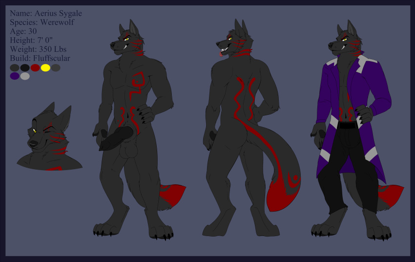 anthro anthro_only balls belt big_penis bottomwear canid canine canis clothing coat furry jeans knot looking_at_viewer luca male mammal markings model_sheet muscular muscular_male no_humans one_eye_closed pants penis solo topwear were werecanid werecanine werewolf wink wolf