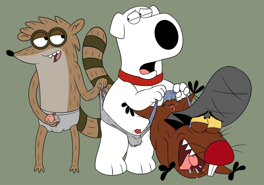 3_fingers 3_toes angry_beavers animal_genitalia animal_penis anus balls beaver blue_clothing blue_underwear bodily_fluids brian_griffin buckteeth canid canine canine_penis canis cartoon_network clothing cock_and_ball_torture collar crossover daggett daggett_beaver domestic_dog family_guy fingers genital_torture genitals grey_clothing grey_underwear group hi_res magzol male male_only mammal nickelodeon penis procyonid raccoon regular_show rigby_(regular_show) rodent smile tears tears_of_pain teeth the_angry_beavers toes tongue tongue_out underwear wedgie