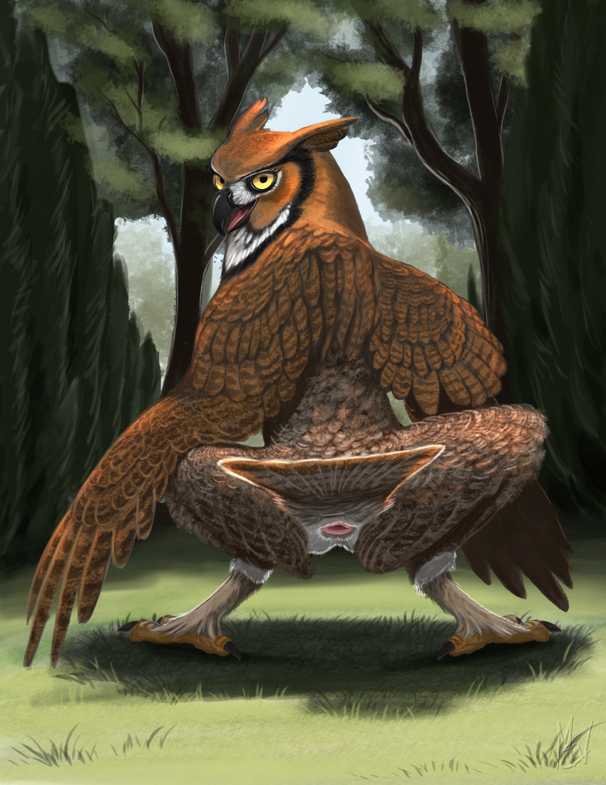 absurd_res animal_genitalia anus ass avian beak bird black_feathers brown_feathers bubo_(genus) clawed_feet clawed_toes cloaca digital_media_(artwork) feathered_wings feathers female female_only feral furry great_horned_owl hi_res looking_at_viewer looking_back moisteaglevent open_mouth owl presenting presenting_ass presenting_cloaca presenting_hindquarters semi-anthro solo spreading talons true_owl white_feathers wings yellow_eyes