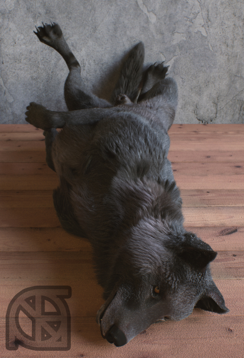 3d animal_genitalia black_body black_fur black_nose canid canine canis claws cosmiclife feet fur hi_res legs_up looking_at_viewer lying male mammal on_back paws pinup pose realistic romeo_(cosmiclife) semi-anthro sheath solo wolf yellow_eyes