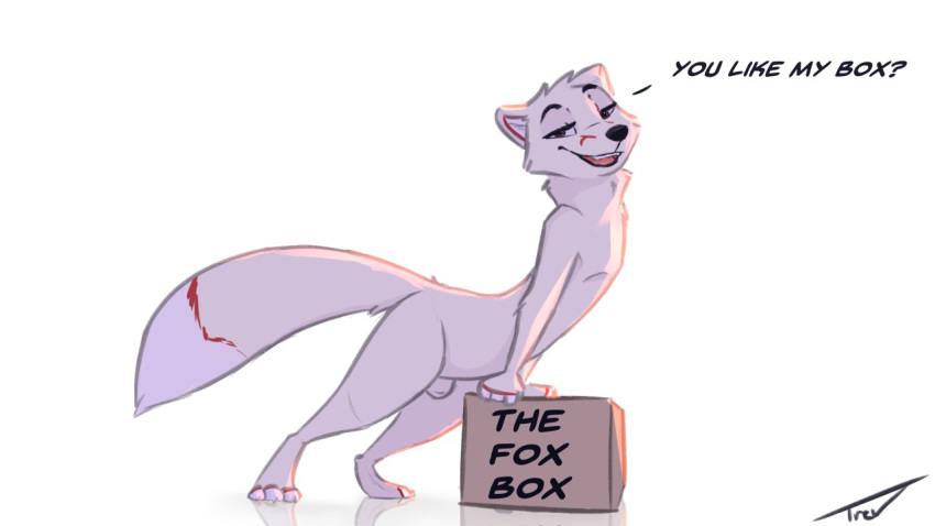 animal_genitalia anthro arctic_fox box canid canine fox male male_only mammal nude seductive sheath solo trev_(trevart) trevart