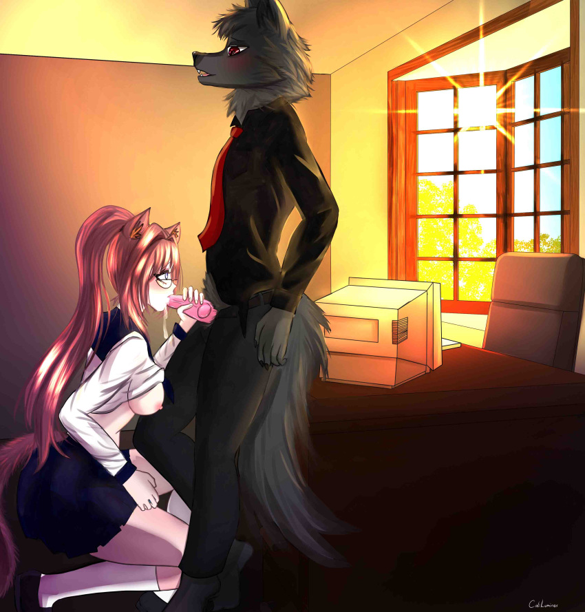 Anthro Rule 34 Image
