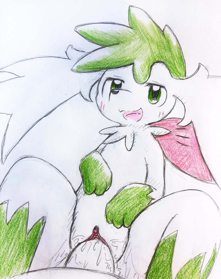 1boy 1girls 3_toes blush bodily_fluids clitoris colored_pencil_(artwork) eiroru female female_focus female_penetrated first_person_view flat_chest flora_fauna fur furry genital_fluids genitals green_body green_eyes green_fur green_paws half-closed_eyes hi_res interspecies larger_male leg_markings legendary_pokemon looking_at_viewer male male_penetrating male_pov markings narrowed_eyes nintendo nude open_mouth penetration penis plant pokémon_(species) pokemon pokemon_(species) pokemon_dppt pokephilia pov pussy pussy_juice sex shaymin size_difference sketch smaller_female smile socks_(marking) spread_legs spreading toes tongue traditional_media_(artwork) urethra video_games wet white_body white_fur