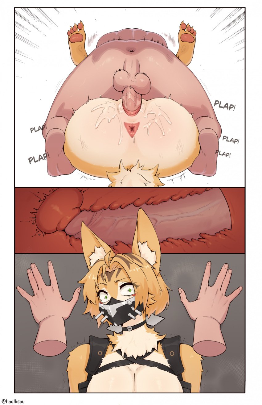 anthro anthro_penetrated anus biped breasts duo erection feet_up felid feline female female_penetrated from_front_position fur genitals green_eyes haolksou hi_res human human_on_anthro human_penetrating human_penetrating_anthro interspecies male male/female male_penetrating male_penetrating_female mammal mask mating_press mihoyo orange_body orange_fur pawpads penetration penile penile_penetration penis pulchra_fellini pussy sex simple_background sound_effects vaginal_penetration vaginal_penetration white_background zenless_zone_zero