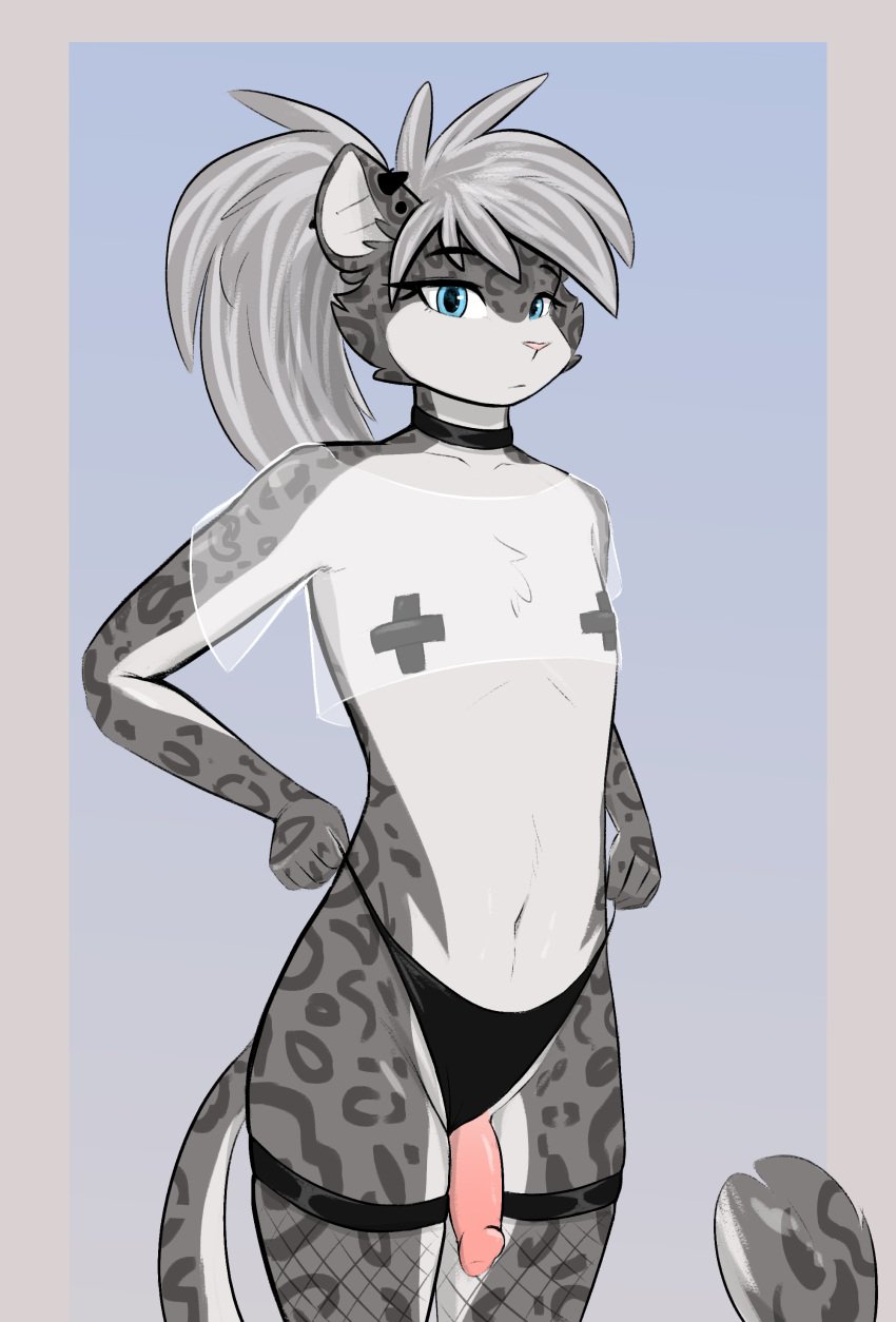 2025 absurd_res anthro blue_eyes choker clothed clothing crossdressing ear_piercing felid femboy fur genitals hair hi_res jewelry male mammal multicolored_body necklace nipple_tape observerdoz pantherine panties pasties penis piercing simple_background snow_leopard solo spots tail tape underwear