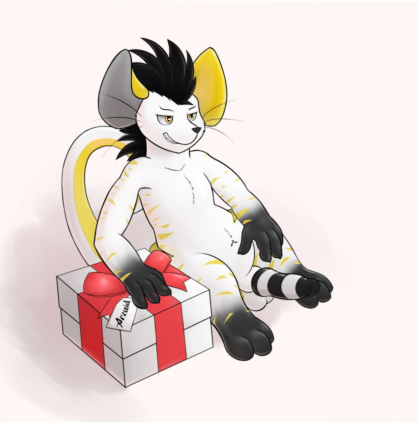 2019 anthro arzaid balls birthday chuki digital_media_(artwork) erection fur genitals gift hi_res inviting knot male male_only mammal mouse murid murine nude penis presenting rodent shaded simple_background sitting smile smirk solo