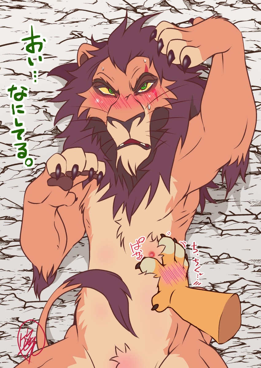 blush claws disney felid feral fur green_eyes hi_res japanese_text lion looking_at_viewer male male_focus male_only mammal nipples nude open_mouth pantherine sasamaru scar scar_(the_lion_king) simple_background text the_lion_king translation_request