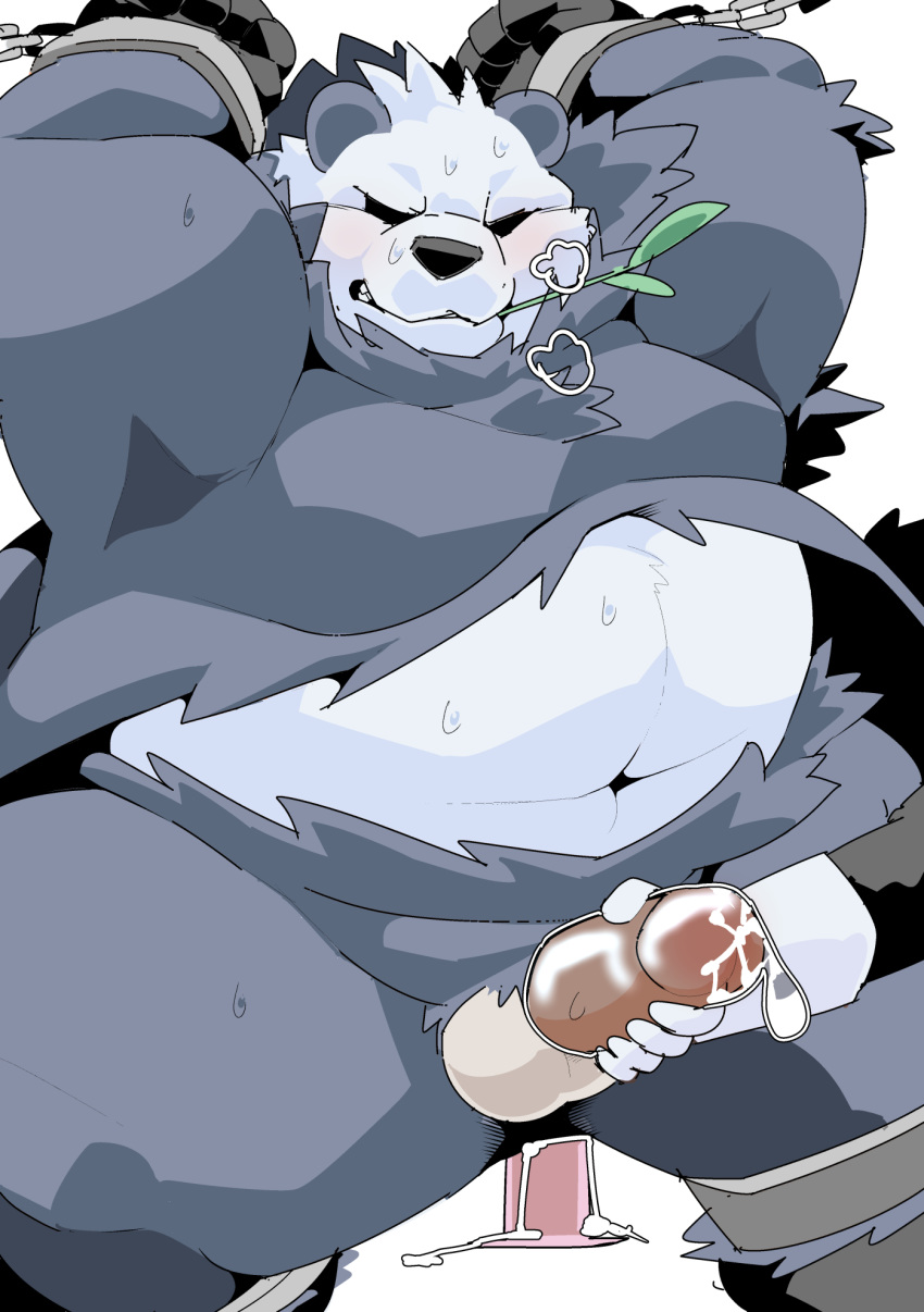 1boy 2020 ambiguous_gender anal anal_sex anthro armpits bara belly black_body black_fur blush bodily_fluids chained chubby cum erection fur furry genital_fluids handjob hi_res humanoid_hands kemono male male_only mammal navel nintendo overweight overweight_male pangoro penetration penile penis pokémon_(species) pokemon pokemon_xy sex sex_toy sigenoya solo_focus sweat takotyutyu testicles video_games white_body white_fur