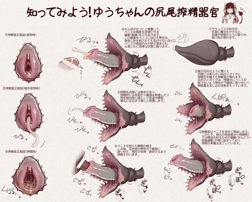 anatomical_study demon demon_girl female kagamine-ikka long_pussy nakadashi penis semen sex stealing_seed succubus tail tail_pussy text translation_request