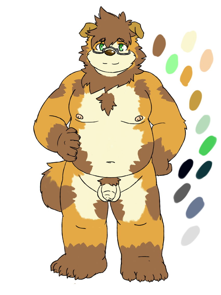 2019 absurd_res anthro balls belly brown_body brown_fur canid canine canis domestic_dog eyewear flaccid fur genitals glasses green_eyes hi_res humanoid_hands humanoid_penis kemono male male_only mammal moobs nipples penis reddo12340 slightly_chubby solo