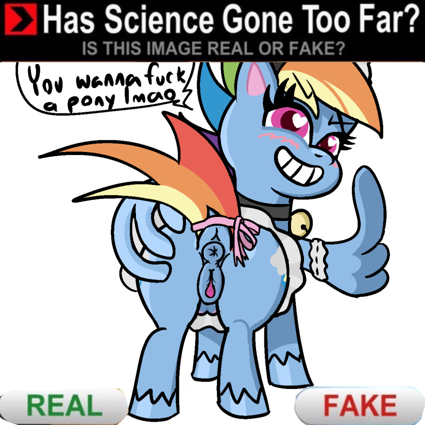 1:1 2020 clothing cutie_mark digital_media_(artwork) equid equine female feral friendship_is_magic hi_res horse looking_back mammal meme my_little_pony my_little_pony:_pony_life poniidesu rainbow_dash_(mlp)