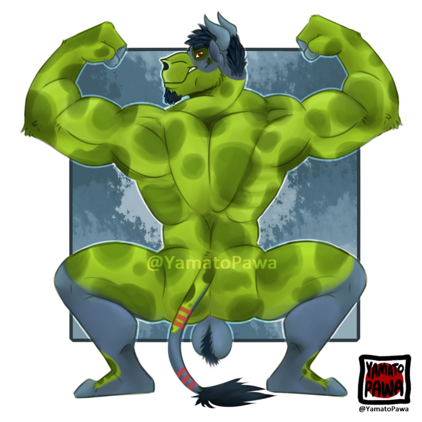 1:1 anthro balls barazoku big_balls bovid bovine crouching flexing genitals hi_res invalid_tag male male_only mammal muscular pose reed_bull show_off yamatopawa