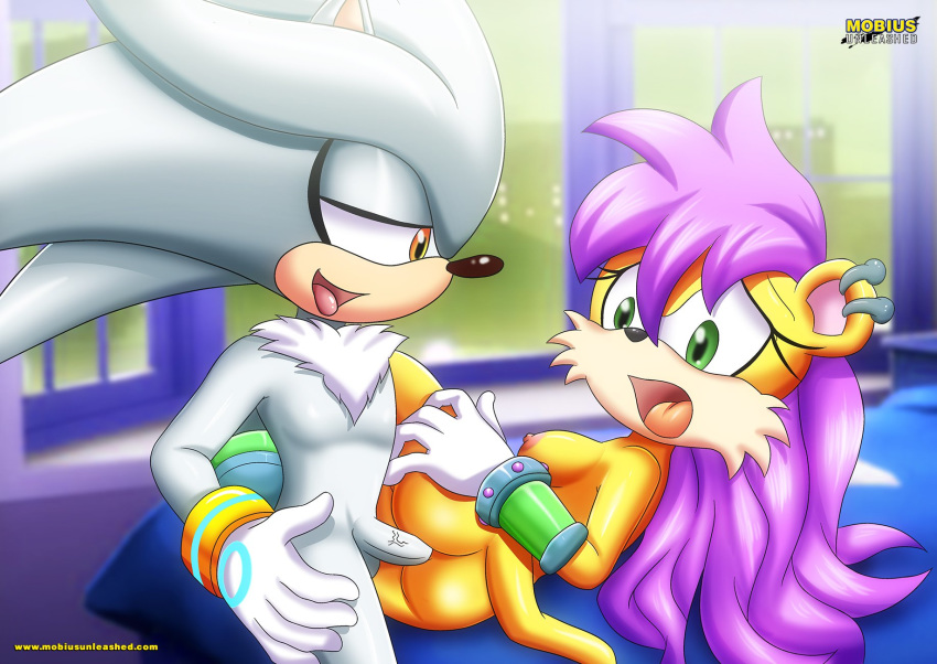 Mina Mongoose (Sonic (Series)) Rule 34 Image