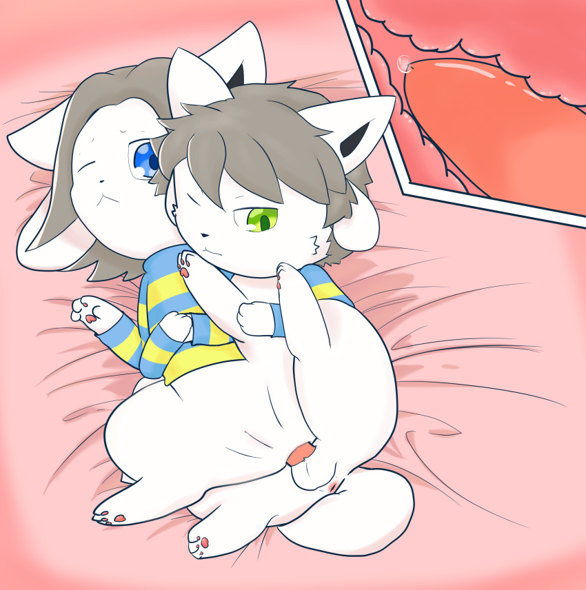 Bob (Undertale) Rule 34 Image