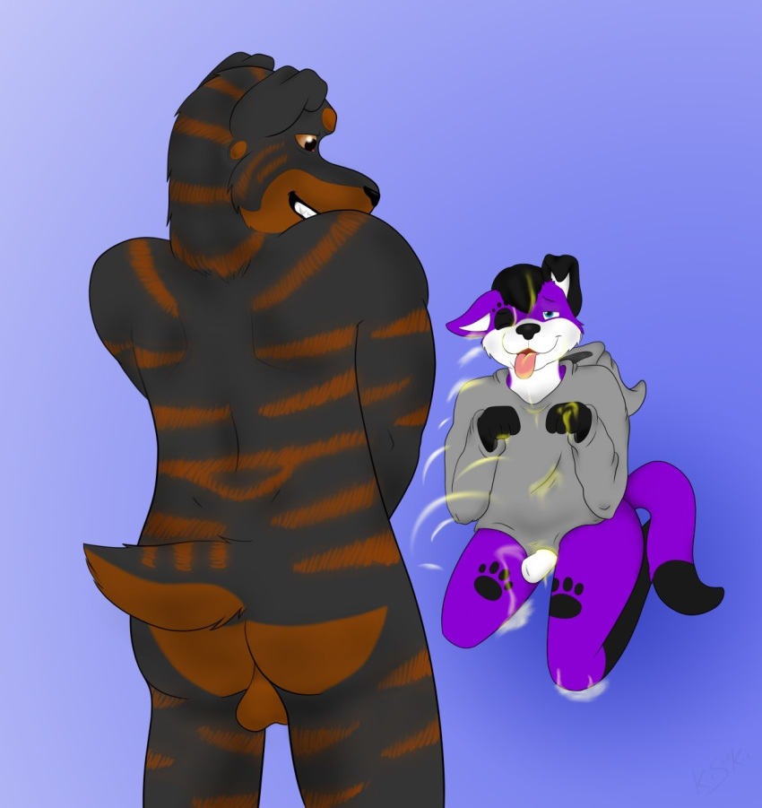 Pawalo (Tigerott) Rule 34 Image