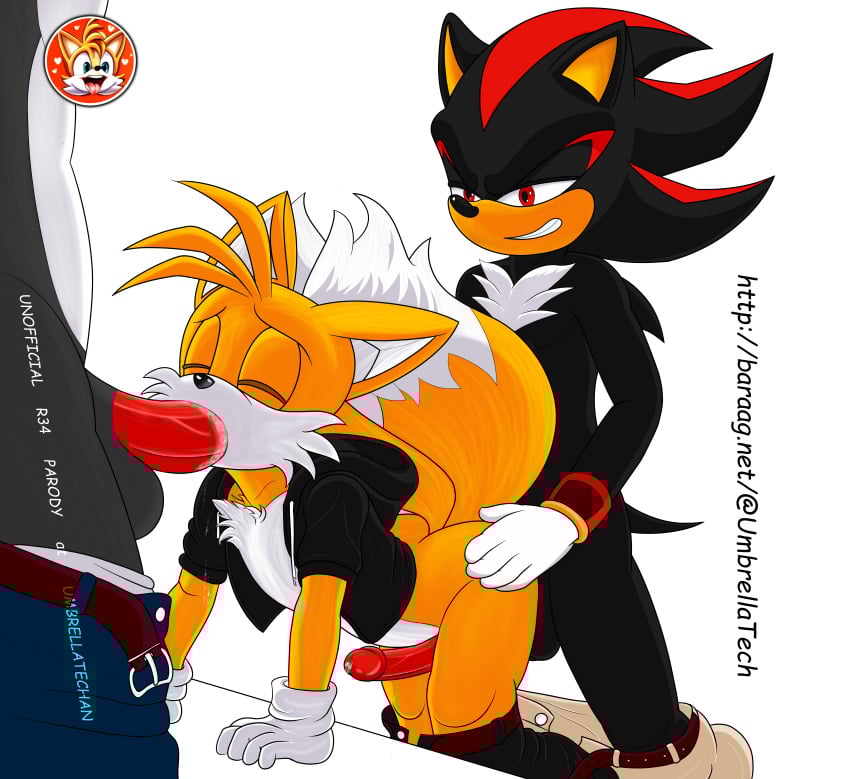 Nine Sonic Prime hentai videos GIFs and images Rule 34 App 