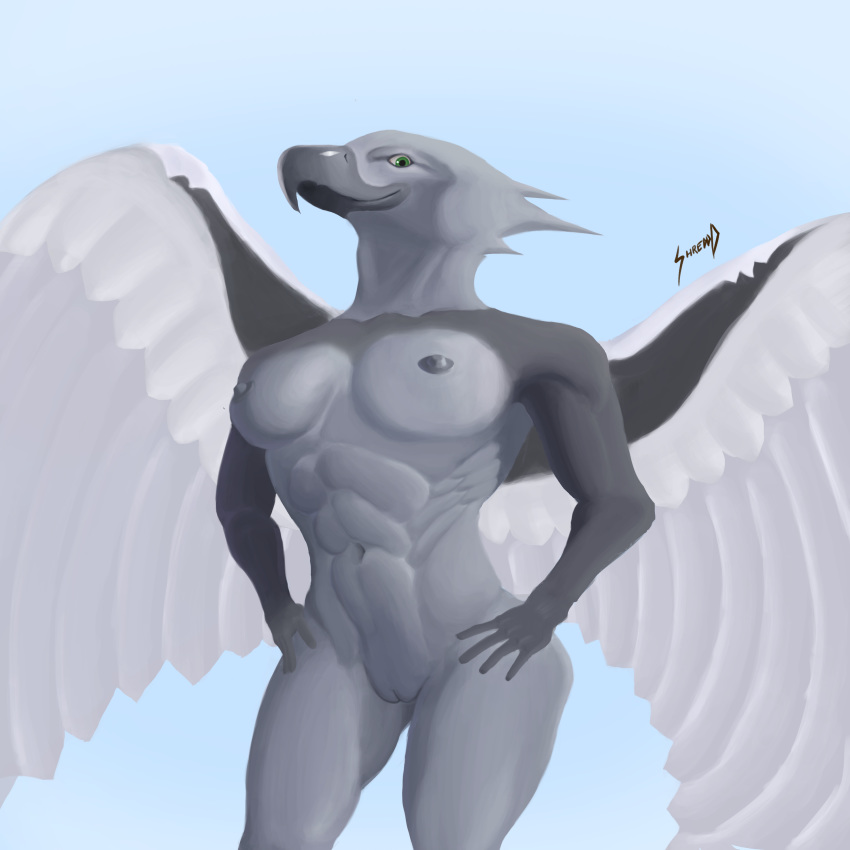 1:1 abs absurd_res accipitrid accipitriform avian beak bird breasts eagle female genitals green_eyes harpy_eagle hi_res looking_at_viewer looking_down muscular muscular_female nipples pussy shredded_wheat wings