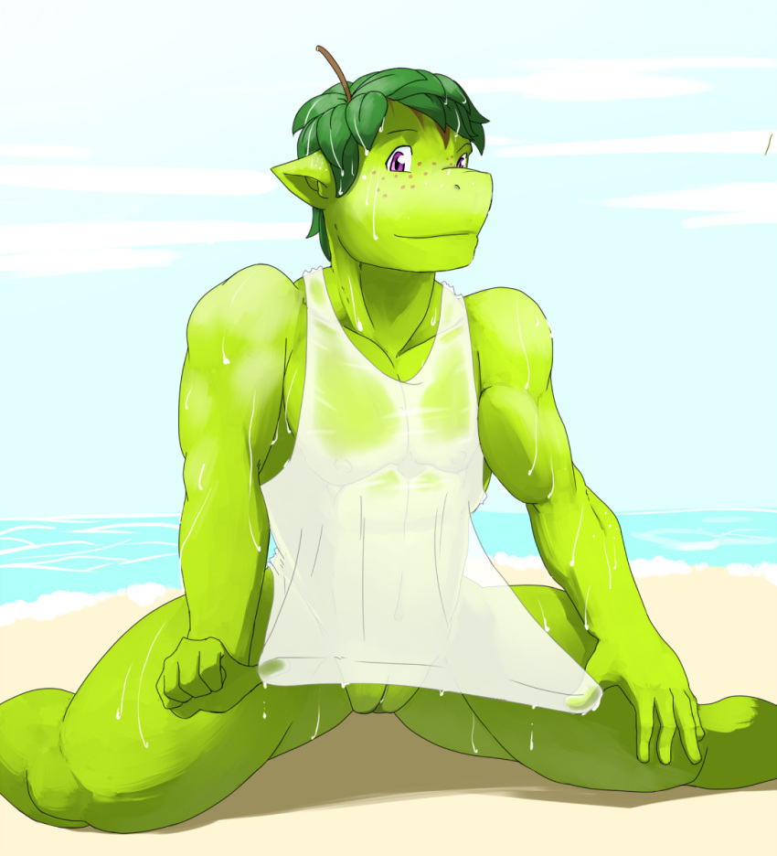 2016 abs andromorph anthro apple athletic athletic_anthro athletic_male beach biceps bottomless clothed clothing colored crispin_(geng) cuntboy detailed_background dragon dripping elemental_creature flora_fauna food food_creature fruit fruit_dragon geng genitals green_body green_skin hi_res intersex leaf leaf_hair living_fruit looking_at_viewer male muscular muscular_thighs pecs plant plant_hair pseudo_hair purple_eyes pussy sand sea seaside shaded shirt shirt_only smile solo stem topwear topwear_only translucent translucent_clothing tugging_clothing water water_drop wet wet_clothing wet_shirt wet_topwear