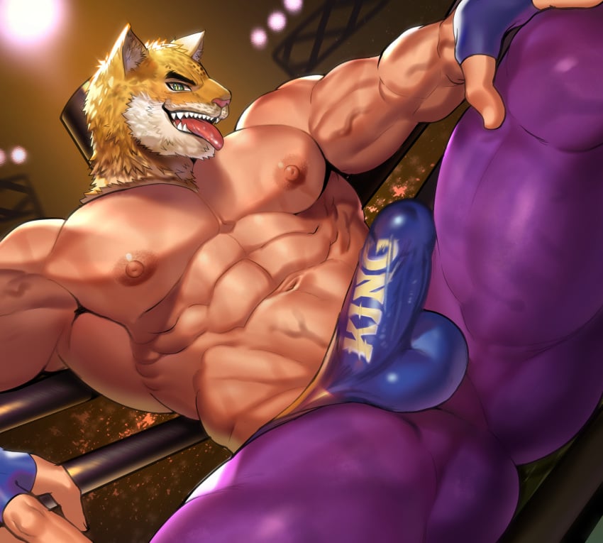 arkapami gay gay_male king penis tekken