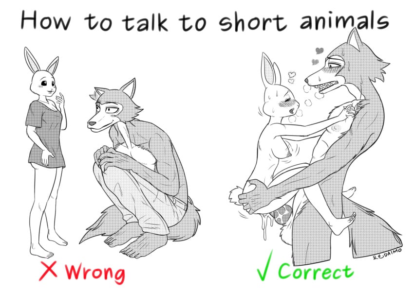 absurd_res beastars blush bodily_fluids bottomwear breasts breath canid canine canis clothing cum cum_inside daimo duo fangs female female_penetrated furry genital_fluids genitals hand_on_butt hand_on_chest haru_(beastars) heart hi_res humor interspecies knot lagomorph larger_male legoshi_(beastars) leporid looking_at_another male mammal meme nipples nude panting pants penetration penis predator/prey rabbit scar sex shirt size_difference stand_and_carry_position standing standing_sex straight sweat text topwear wolf