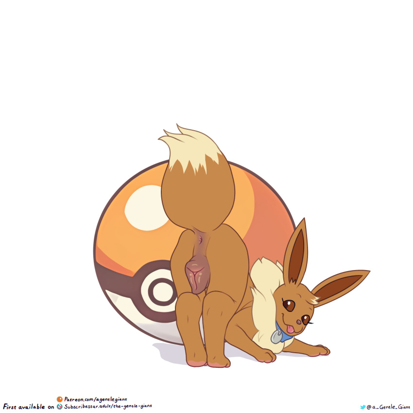 2023 animal_genitalia animal_pussy anus ass ass_up blep brown_body brown_eyes brown_fur canine_genitalia canine_pussy collar collar_tag darkened_genitalia darkened_pussy digital_media_(artwork) digitigrade dipstick_tail eevee feral fur generation_1_pokemon genitals hi_res looking_back markings nintendo paws plump_labia pokemon pokemon_(species) presenting presenting_hindquarters presenting_pussy pussy quadruped simple_background tail tail_markings tan_body tan_fur the_gentle_giant tongue tongue_out white_background