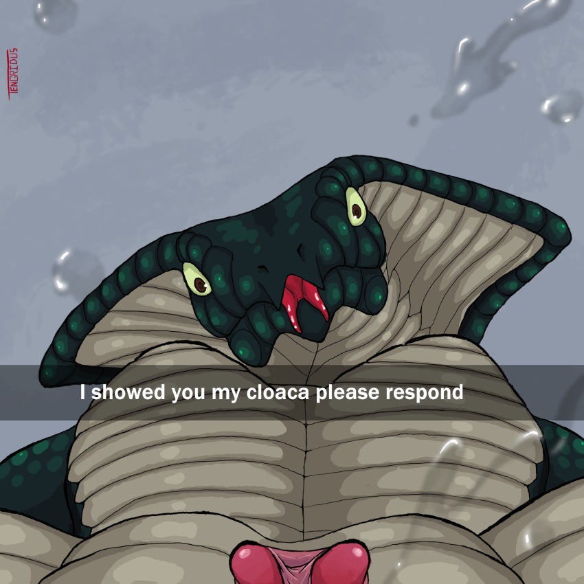 2_clitorises aglaya animal_clitoris animal_genitalia anthro bodily_fluids clitoris female genital_fluids genitals hi_res multi_clitoris multi_genitalia please_respond pussy_juice scalie solo tengridus tongue tongue_out viper_(x-com) x-com