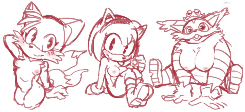 amphibian amy_rose anthro big_breasts big_the_cat blush breasts condom duo exposed_torso female feral footwear frog genitals handwear hi_res humanoid mostly_nude nipples offering_condom pussy rule_63 simple_background sitting sketch solo sonic_(series) sonic_the_hedgehog_(series) tails tailsko uyu white_background