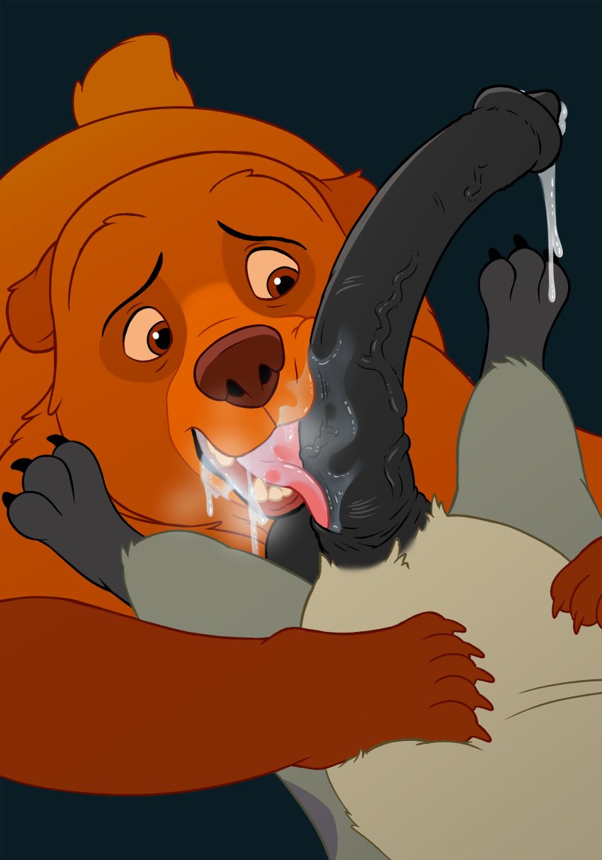 2019 absurd_res anatomically_correct anatomically_correct_genitalia anatomically_correct_penis animal_genitalia animal_penis balls bodily_fluids brother_bear cum disney drool drooling duo ed_(the_lion_king) fellatio genital_fluids genitals hi_res hyaenid hyaenid_penis kenai licking licking_penis magzol male male_only mammal oral penis saliva saliva_on_penis saliva_on_tongue the_lion_king tongue tongue_out ursid