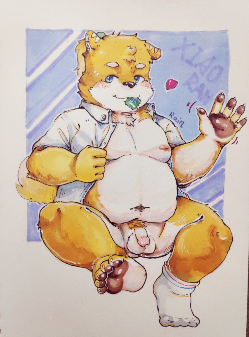 2019 anthro balls belly blush canid canine clothed clothing flaccid genitals heart hi_res humanoid_hands kemono male male_only mammal moobs morian_xs navel nipples open_shirt overweight overweight_male penis pubes shirt solo topwear