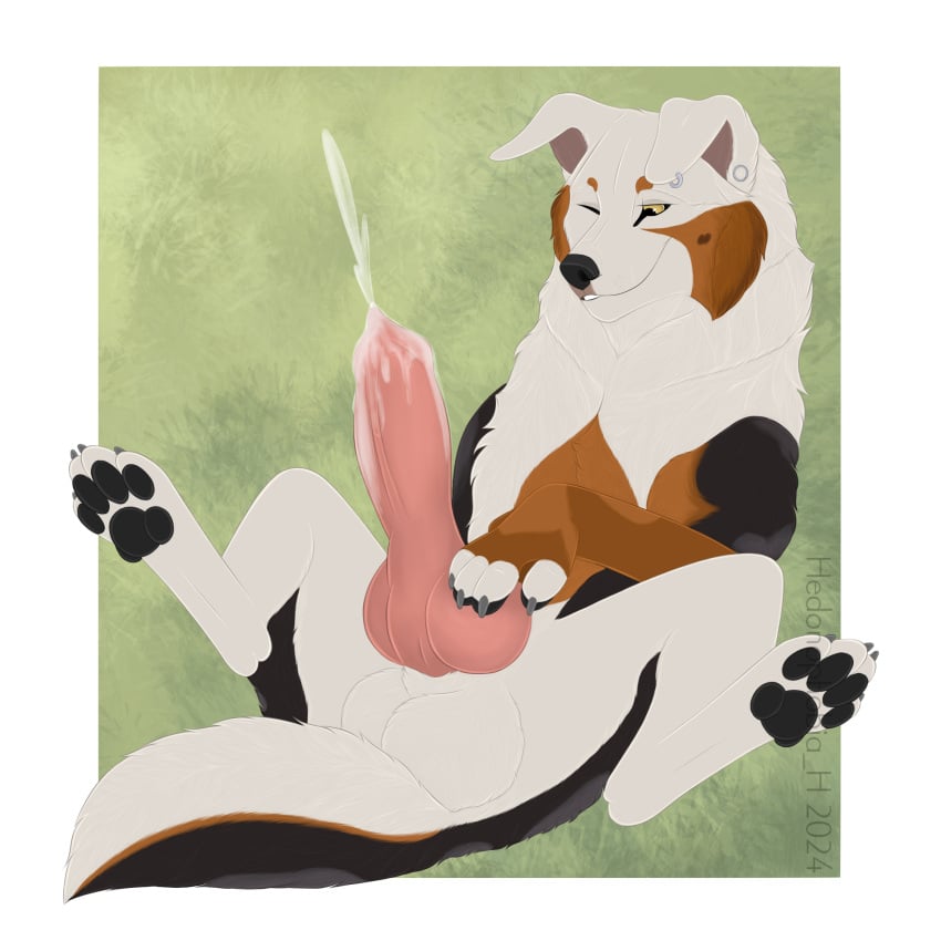 animal_genitalia animal_penis balls bernese_mountain_dog big_balls big_penis bodily_fluids canid canine canine_genitalia canine_penis canis cum domestic_dog ear_piercing ejaculation feral genital_fluids genitals hedonophobia_h hi_res huge_balls huge_cock hyper hyper_balls hyper_genitalia hyper_penis knot male male_looking_pleasured mammal molosser mountain_dog penis piercing solo swiss_mountain_dog yasuno