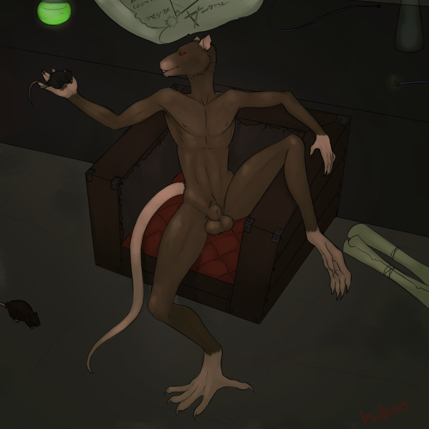 1:1 ambiguous_gender animal_genitalia anthro balls chair feral furniture genitals group hi_res holding_character lewdbones male male_only mammal murid murine nude pubes rat rat_tail red_eyes rodent sheath sitting skaven warhammer_(franchise) warhammer_fantasy