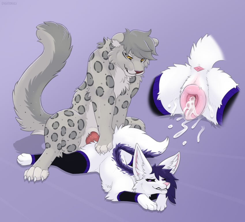 adra_(tiddles) animal_genitalia animal_pussy anus bite biting_lip black_sclera bodily_fluids canid canine canine_genitalia canine_pussy clothed clothed_feral clothing cum cum_in_pussy cum_inside digi digitoxici duo erection fangs felid female fennec_fox feral feral_on_feral feral_penetrated feral_penetrating feral_penetrating_feral feral_with_hair fluffy fluffy_tail fox fur genital_fluids genitals grey_body grey_fur grey_hair hair hi_res interspecies male male/female mammal markings pantherine penetration penis purple_eyes purple_hair pussy sex snow_leopard spots spotted_body spotted_fur spread_legs spreading tail teeth toeless_legwear toeless_stockings true_fox white_body white_fur