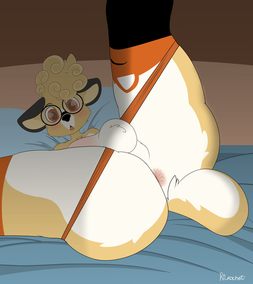 absurd_res anthro anus ass balls bed blush canid canine canis clothing domestic_dog eyewear furniture genitals glasses herding_dog hi_res legwear looking_at_viewer lying male male_only mammal on_back on_bed pastoral_dog pillow presenting presenting_anus rickochet socks solo thigh_highs thigh_socks underwear welsh_corgi