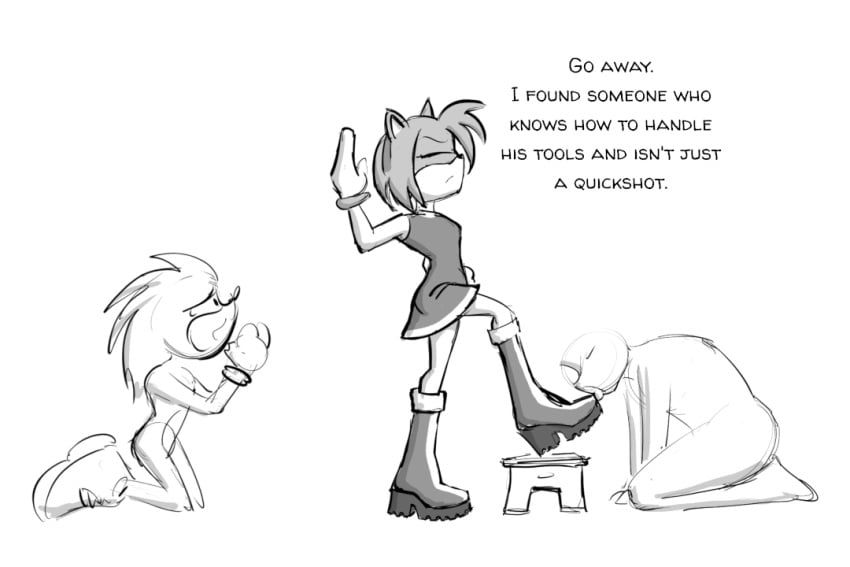 Amy Rose (Sonic (Series)) Rule 34 Image
