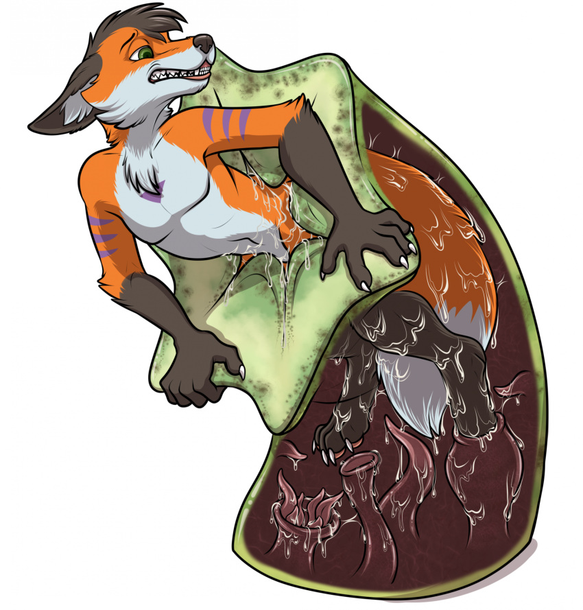 Like Like Rule 34 Image