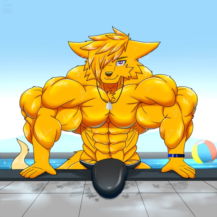 1:1 anthro big_muscles bulge canid canine clothing fennec fox fur hi_res huge_muscles jewelry male male_only mammal muscular muscular_male necklace solo speedo swimming_pool swimwear taiko-sihori yellow_body yellow_fur