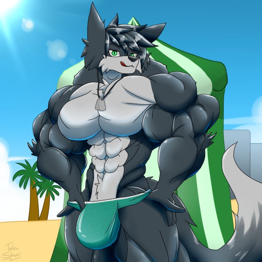 1:1 anthro beach big_muscles black_body black_fur bulge canid canine clothing fox fur hi_res huge_muscles jewelry male male_only mammal muscular muscular_male necklace seaside solo speedo swimwear taiko-sihori