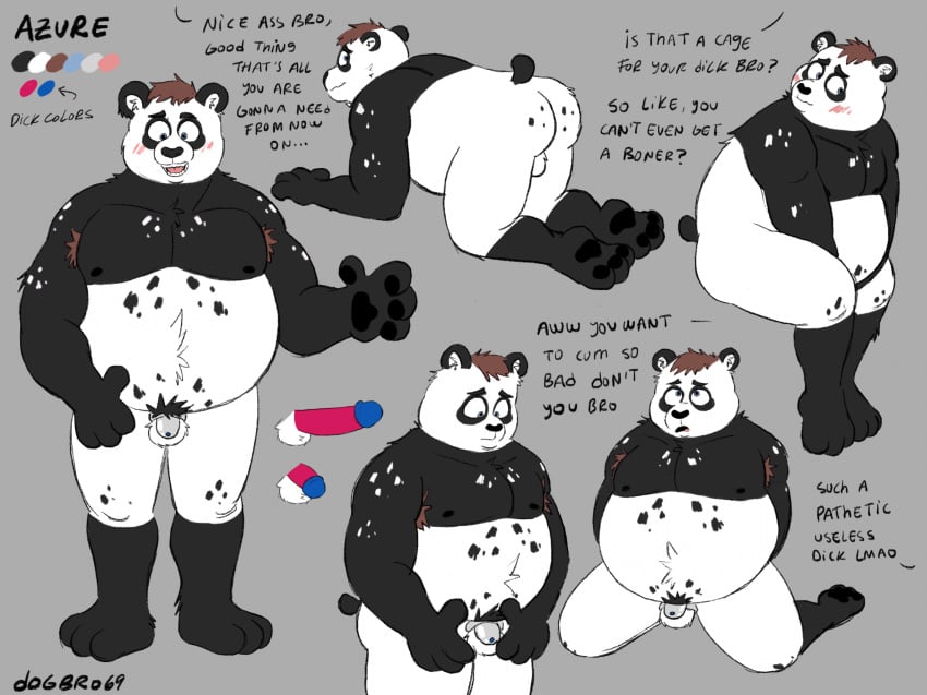 anthro armpit_hair azure_(pupblueslut) balls bear black_body black_fur blush body_hair brown_hair chastity_cage chastity_device degradation dialogue dogbro69 fur genitals giant_panda hair hi_res male mammal model_sheet overweight overweight_male penis solo white_body white_fur