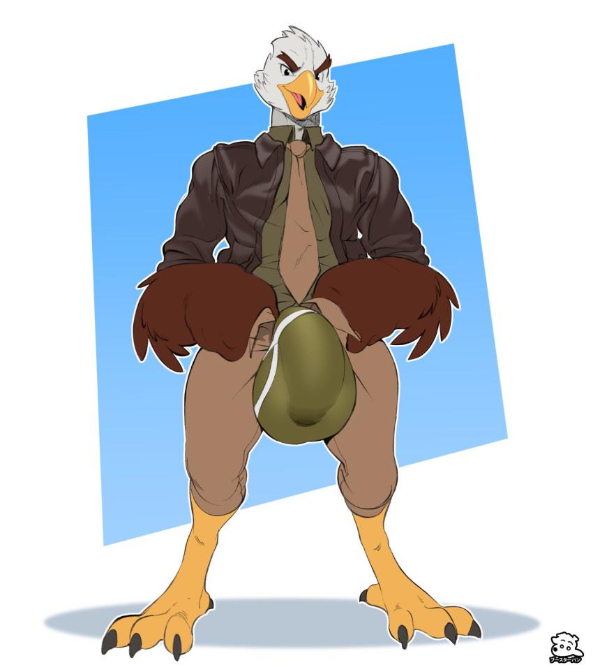 accipitrid accipitriform anthro aquilles army avian bald_eagle balls beak big_balls big_penis bird boosterpang bulge clothing cocky eagle feathered_wings front_view full_body genitals huge_balls huge_cock humanoid male male_only penis sea_eagle smug solo suit swollen toe_claws underwear undressing uniform unzipping war-bird