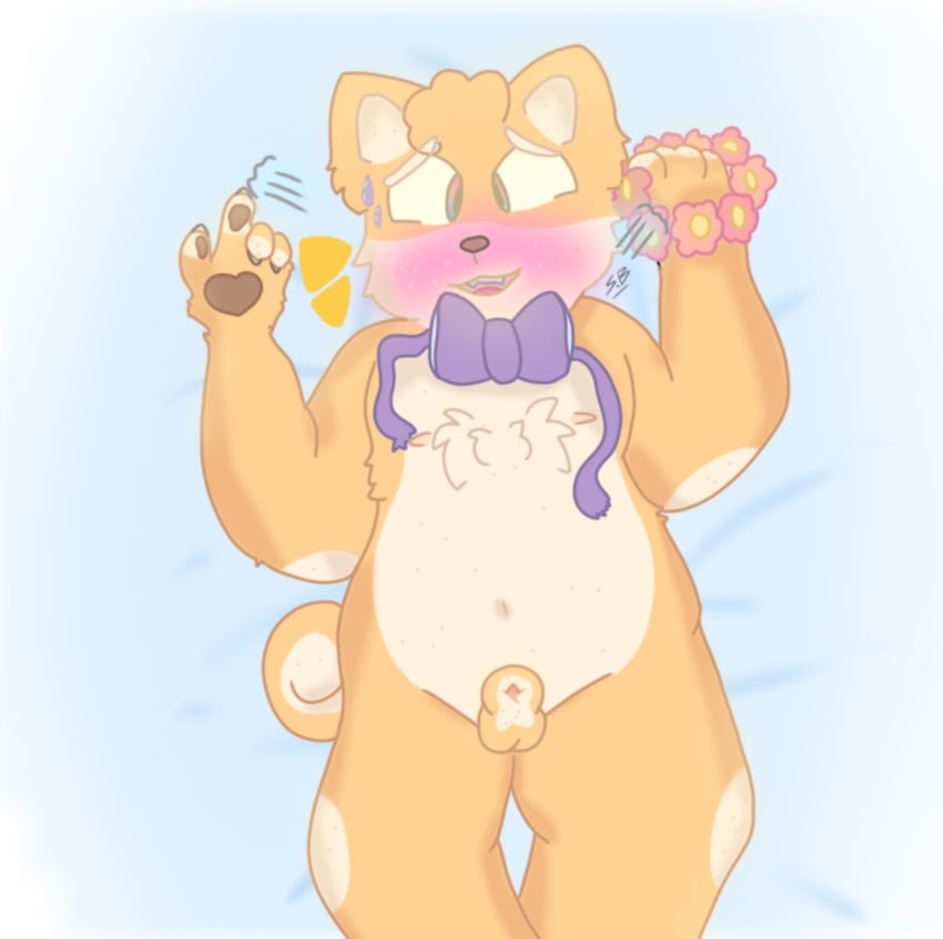 chubby furries_with_pets furry furry_only male male_only pov shiba_inu shibe