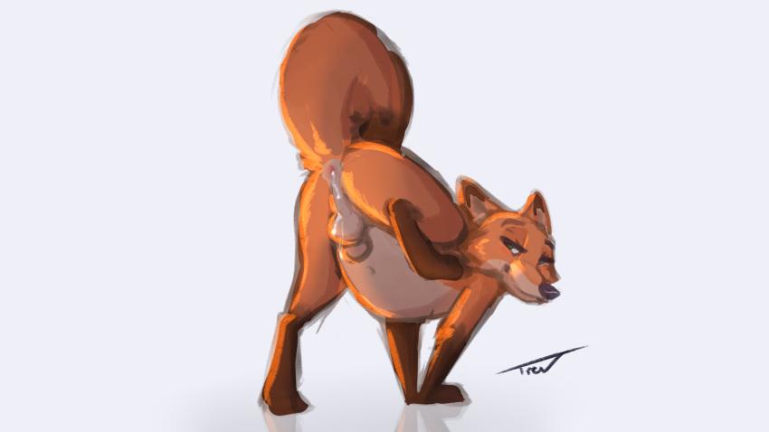 16:9 anthro anus ass balls bodily_fluids canid canine cum cum_drip cum_in_ass disney feet fox genital_fluids genitals hi_res male male_only mammal nick_wilde penis solo spread_legs trevart zootopia