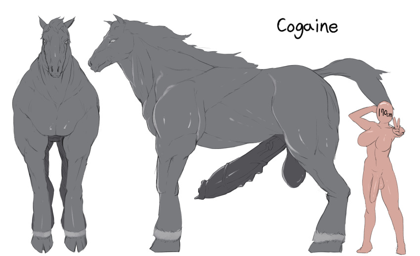 balls breasts equid equine erection exotic_penis feral front_view futa_with_male futanari genitals gesture grey_body gynomorph hi_res hooves inriganan intersex larger_feral larger_male male mammal mane penis side_view simple_background size_difference v_sign vein white_background