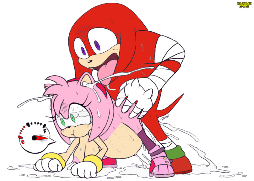 1boy 1boy1girl 1girls amy_rose amy_rose_(boom) colored cum cum_explosion cum_inflation edit excessive_cum excito exposed_torso female footwear handwear inflation knuckles_the_echidna male male/female sega sonic_(series) sonic_boom sonic_the_hedgehog_(series) taken_from_behind third-party_edit