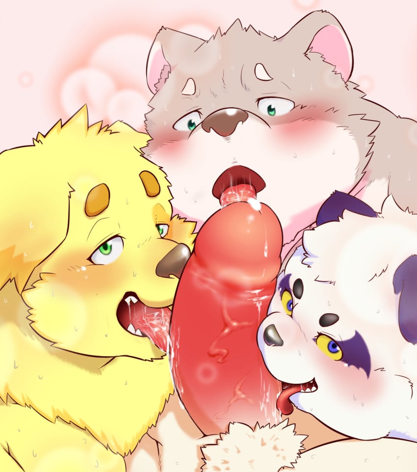 2020 alp_(tokyo_afterschool_summoners) anthro blush bodily_fluids canid canine canis cu_sith_(tokyo_afterschool_summoners) domestic_dog drooling fur gay genitals giant_panda group hi_res jambavan kemono leib_(tokyo_afterschool_summoners) licking male male/male male_only mammal nameko_no_neko penis purple_body purple_fur saliva tokyo_afterschool_summoners tongue tongue_out ursid video_games white_body white_fur yaoi