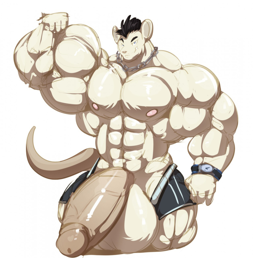 aidan_mouse anthro balls big_balls big_muscles big_penis black_hair bobert boxers_(clothing) clock clothing erection flexing fur genitals hair hi_res huge_balls huge_cock huge_muscles hyper hyper_balls hyper_genitalia hyper_muscles hyper_penis male male_only mammal mouse murid murine muscular nipples penis rodent simple_background smile underwear vein veiny_penis watch white_background white_body white_fur wristwatch