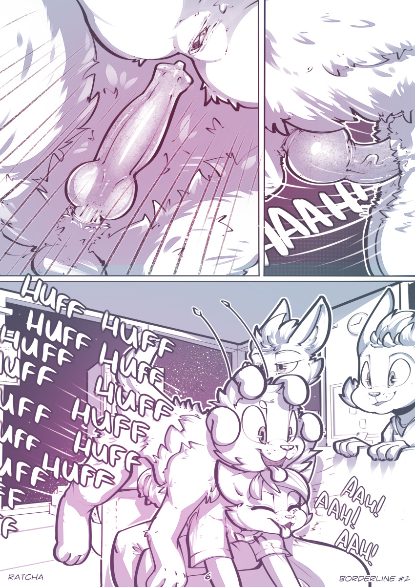 2020 absurd_res animal_genitalia animal_penis anthro anthro_on_feral anthro_penetrated balls borderline_(ratcha) brother brother_and_sister canid canine canine_penis clothed clothing collar comic english_text erection female female_on_feral female_penetrated feral feral_penetrating feral_penetrating_anthro fox fur genitals group hair hi_res knot male male_penetrating male_penetrating_female mammal page_6 penetration penis pussy ratcha sex sibling sister straight text tongue zoophilia